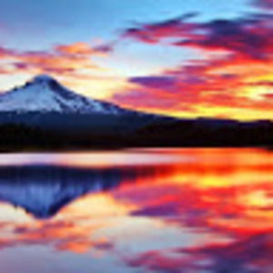 Meet your Posher, Nevaeh-marie